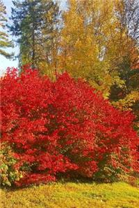 2019 Weekly Planner Autumn Red Bushes Fall Trees 134 Pages