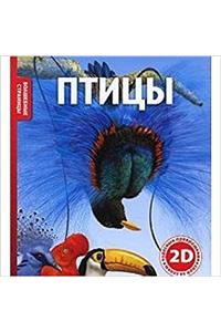 Look Inside Bird