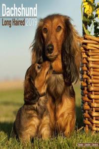 Dachshund Long Haired Calendar 2019