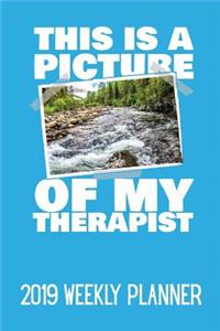 This Is a Picture of My Therapist
