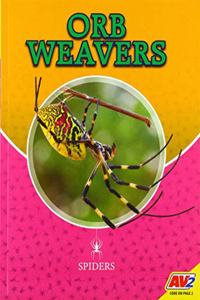 Orb Weavers