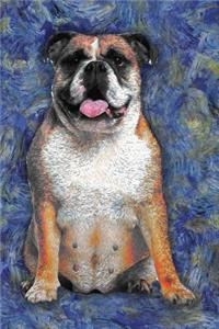 English Bulldog