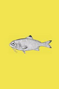 Fishy Journal