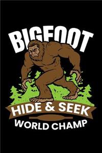 Hide & Seek World Champ