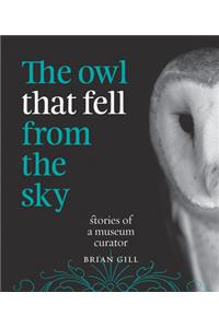 Owl That Fell from the Sky