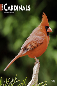 Cardinals 2024 Square