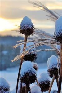 First Snow in the Meadow Journal