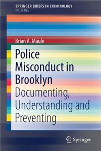 Police Misconduct in Brooklyn
