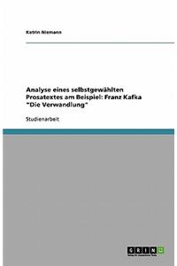 Analyse eines selbstgewählten Prosatextes am Beispiel