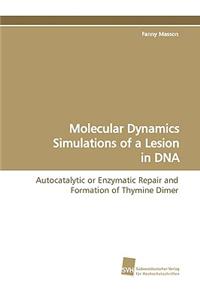 Molecular Dynamics Simulations of a Lesion in DNA