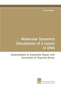 Molecular Dynamics Simulations of a Lesion in DNA