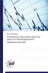 Économie Informelle Dans Les Pays En Développement