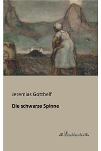schwarze Spinne