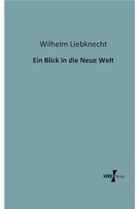 Blick in die Neue Welt