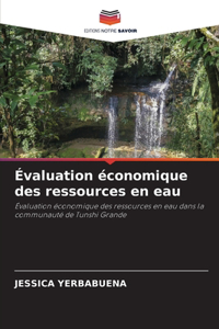 Évaluation économique des ressources en eau
