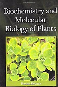 Biochemistry and Molecular Biology Of Plants