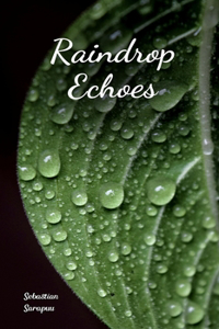 Raindrop Echoes