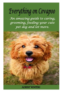 Everything on Cavapoo