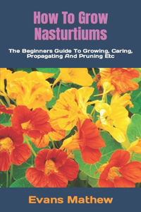 How To Grow Nasturtiums