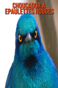 Choucador à Epaulettes Rouges