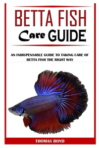 Betta Fish Care Guide