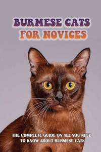 Burmese Cats For Novices
