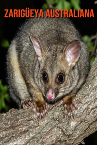 Zarigüeya australiana