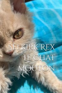 Selkirk Rex