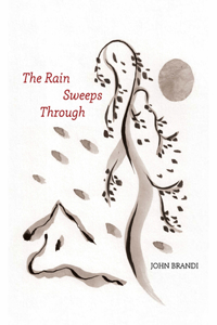 Rain Sweeps Through