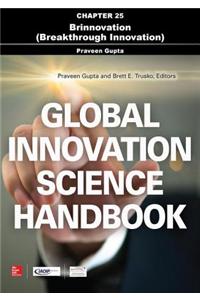 Global Innovation Science Handbook, Chapter 25 - Brinnovation (Breakthrough Innovation)