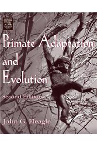 Primate Adaptation and Evolution