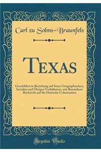 Texas: Geschildert in Beziehung auf Seine Geographischen, Socialen und Übrigen Verhältnisse, mit Besonderer Rücksicht auf die Deutsche Colonisation (Classic Reprint)