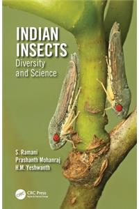 Indian Insects