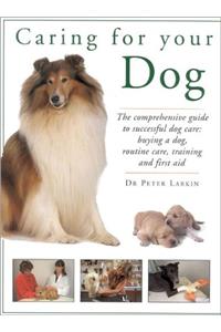 Caring for Your Dog