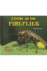 Zoom in on Fireflies