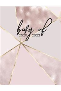 Busy AF 2020 2022: Daily, Monthly, 3 Year Planner, Organizer, Appointment Scheduler, Personal Journal, Logbook, 36 Months Inspirational Calendar....