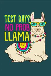 Test Day? No Probllama