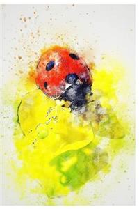 Ladybug Journal