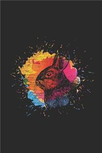Rabbit Splash