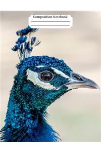 Composition Notebook Peacock Design Vol 7