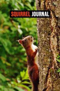 Squirrel Journal