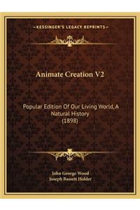 Animate Creation V2