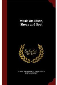 Musk-Ox, Bison, Sheep and Goat