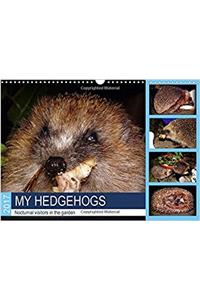My Hedgehogs - Nocturnal Visitors in the Garden 2017