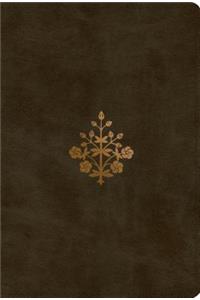 ESV New Testament (Trutone, Olive, Branch Design)