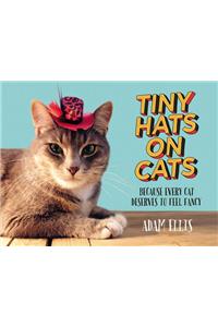 Tiny Hats on Cats