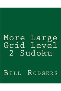 More Large Grid Level 2 Sudoku