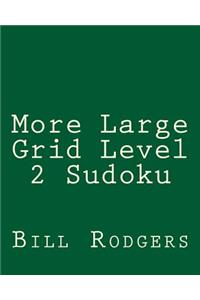 More Large Grid Level 2 Sudoku