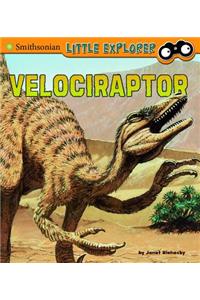 Velociraptor