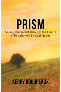 Prism, Seeing the World Through the Hearts of People with Special Needs